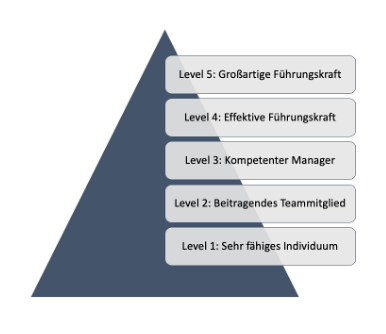 Level 5 Leadership Levels