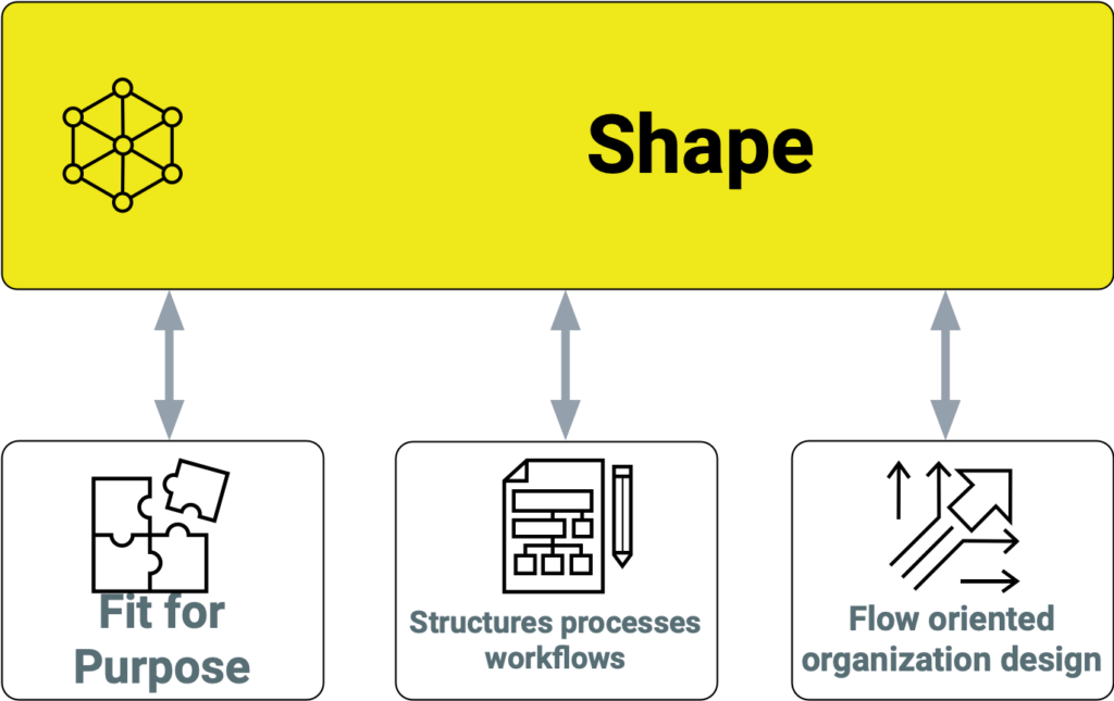 Shape the Organization